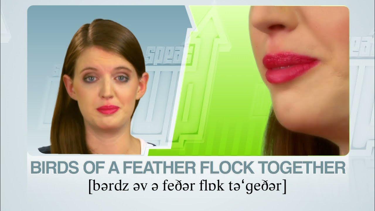 SPEAK UP 38 : the proverb “birds of a feather flock together” | RU