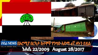 በኦሮሚያ በርካታ ከተሞች የንግድ አድማ 4ኛ ቀኑን ይዟል   በአማራ ክልል በአተት ወረርሽኝ የ42 ሰዎች ህይወት አልፏል ኢትዮጵያውያንና ኤርትራውያን በ Togo Movie