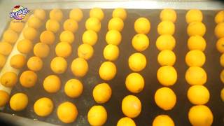 Barakat Factory - Orange Juice Processing