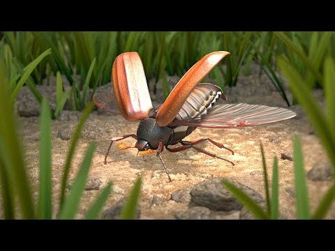 Video: Insekter Kan Forårsake Verdenssult - Alternativ Visning
