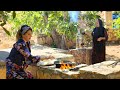 Cook Chicken Breast with Yogurt Sauce in a Different and Delicious way! Iran Village Life