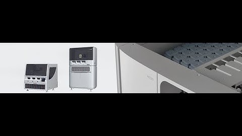 Celnovte IHC Stainer