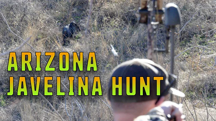 Hunting Javelina with a Bow in Southern Arizona
