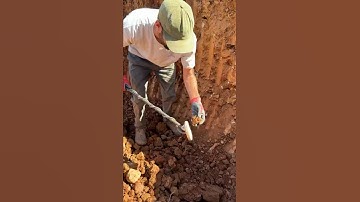 Gold on Quartz Specimen Found with Metal Detector ✨