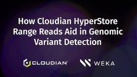 How Cloudian HyperStore Range Reads Aid in Genomic Variant Detection
