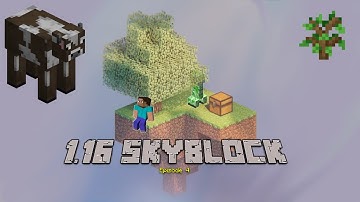 PASSIVE MOB FARM AND A NEW ISLAND!!  l  1.16 Skyblock Survival EP. 4!!