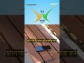 Sanchar Saathi App Explained: Do You Really Need It?
