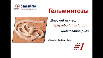Гельминтозы #1 Широкий лентец   Дифиллоботриоз