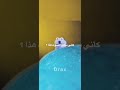 الصوت هذا كأني سمعته شونق Shongxbong شونق بونق نويصر اكسبلور الصوت هذا كأني سمعته شونق Shongxbong شونق بونق نويصر اكسبلور