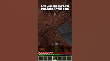 POV: YOU ARE THE LAST PILLAGER IN A RAID  #minecraft #like #viral #subscribe