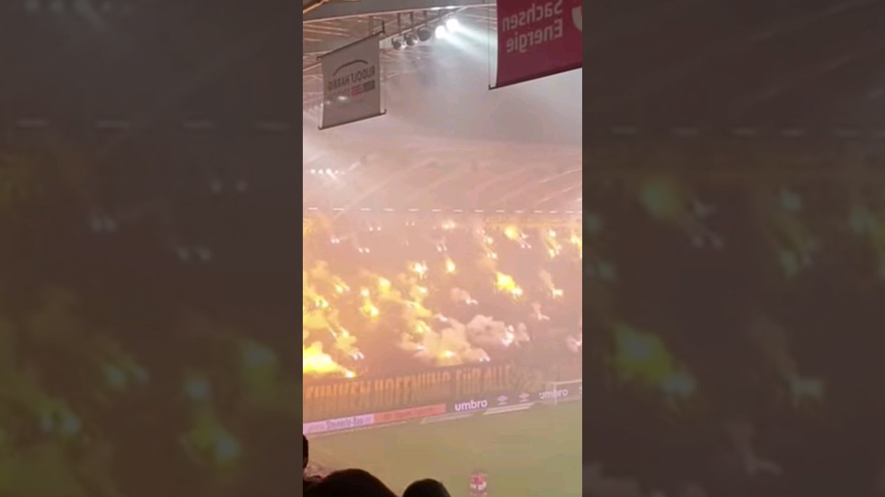 🤮Ich Kotze in den Wald🤮 Dynamo Dresden vs Halle. Pyro Wahnsinn 