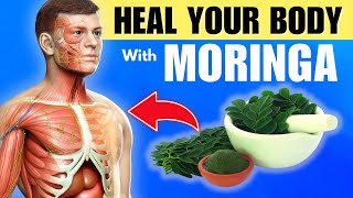 20 Amazing Benefits Of Moringa You Need To Know