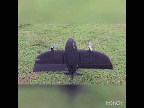 Tailsitter UAV, Blackbird