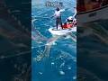 Giant Fish Appears Out of Nowhere‼️Nearly Sinks Our Boat! #amazing #tranding #viral #fishing #shorts