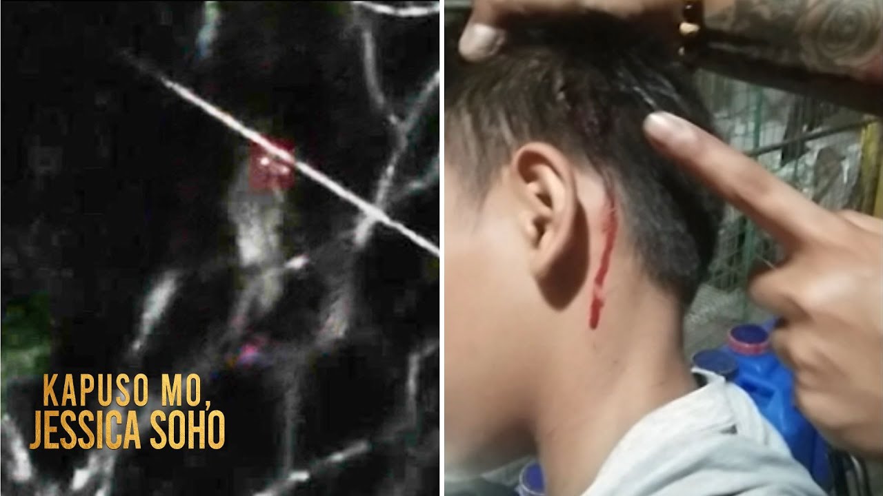 Malaking ibon, umaatake sa mga motorista sa Quezon! | Kapuso Mo, Jessica Soho