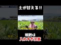 堆肥に頼らない!無肥料栽培を実現する方法