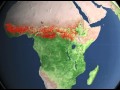 Земля в огне! Видео со спутника NASA