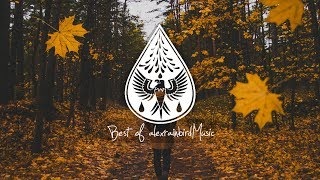Best of alexrainbirdMusic // Vol. 1 (300k Subscribers Playlist)