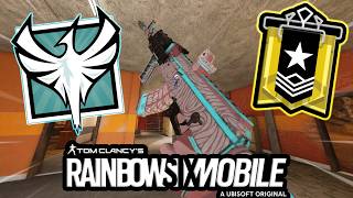 NEW SZN, NEW RANK GRIND COMMENCES! | Rainbow Six Siege Mobile