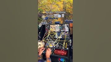 Vocals + Modular Synth #sounddesign #experimentalmusic #modularsynth #ambientmusic #electronicmusic