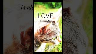 Avoid curiosity about things that should not concern you. #shorts God does not change.