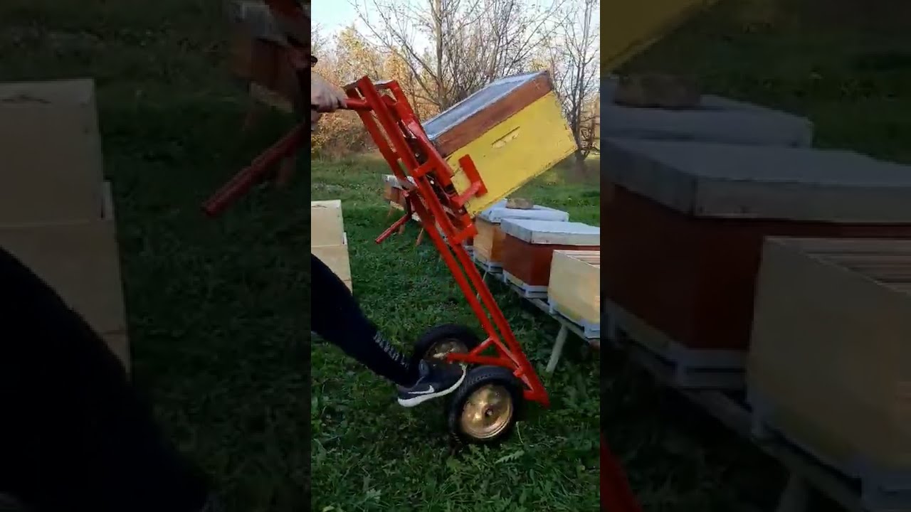 Apilift kolica za pcele