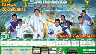 Versión 1 del video