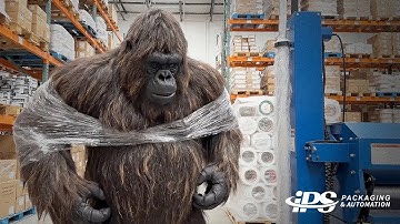 Bigfoot Vlog | Life as a New Employee at IPS Packaging & Automation