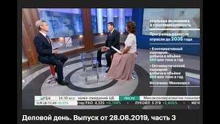 Анна Цивилева на телеканале РБК