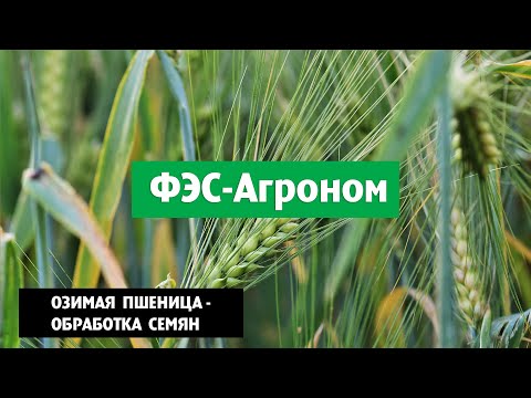 Video: Fertilizers AVA And Biohumus