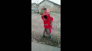 This is a powerful cockfighting funny