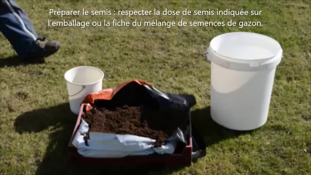 Rénover son gazon : le semis de regarnissage