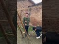 NotSmiling FakeGrin RealLife RuralLife Comedy