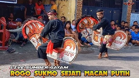 Jaran dor Rogo sukmo sejati macan putih live sumber gayam