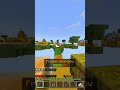 Was he scared of my sheep?