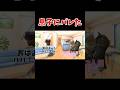 【猫ミーム】息子にバレて気まず過ぎる瞬間！ww #shorts #猫ミーム #実話