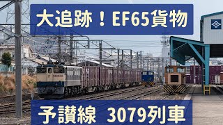 日中の予讃線をEF65が疾走!伊予三島貨物 3079列車