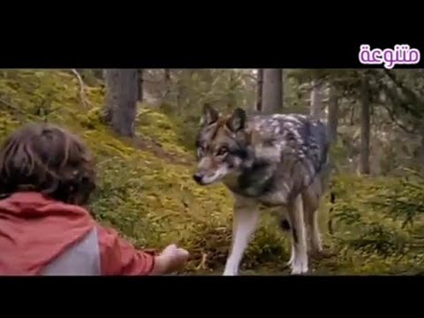 فيلم أجنبي جميل الطفل الذي أسيء فهمه   