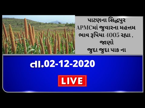 ગુજરાતની બધી જ APMCના તા.02-12--2020 દરેક પાકના ભાવ । TV9 NEWS