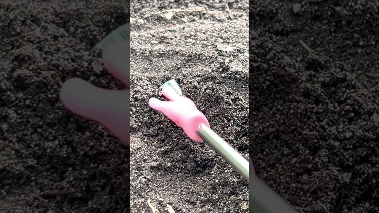 Where do 10mm sockets come from?