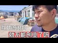 救助流浪狗就不能创业了吗？身后400多毛孩子，再辛苦也得干   Dog  rescu in China  2023 06  30