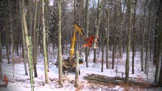 Maszyny Do Wycinki Drzew - Twardy Reset