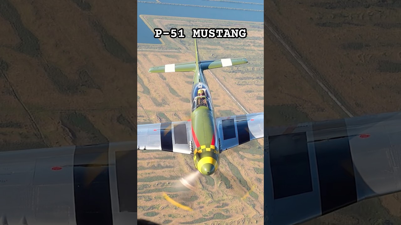 FIVE P-51 Legends: The Ultimate Mustang Air-to-Air Photoshoot! 