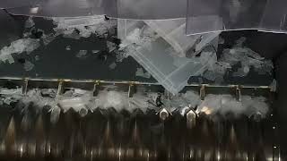 Shredding and Granulating Plastic Boxes with a WEIMA WKS and Neue-Herbold LM Series