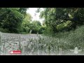 As promised, act two... Greenway 2 of 2... #nature #relaxing #greenwayvogheravarzi