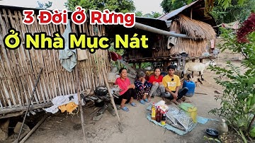 Ở RỪNG 3 đời nghèo khó, ở nhà mục nát, ĂN KHOAi RỪNG để tồn tại | 502
