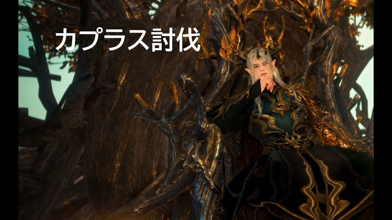 【黒い砂漠】BDO カプラス討伐 (伝承KN)