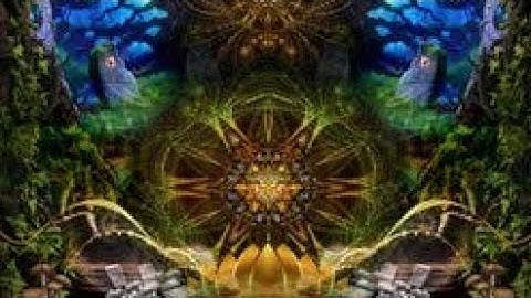 Aktyum - Waveform Functions (Original Mix)