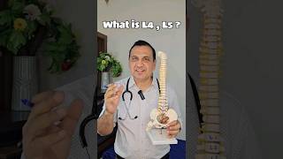 What is L4 and L5 disc @NeuroMedTalks01 #neurosurgeon #slipdisc #spine