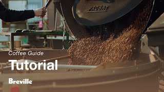 The Barista Express® | Beans 101: The different flavors of fresh coffee beans | Breville USA